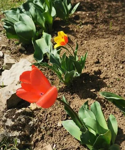 Ferienhaus The Barn, Maison, Piscine Privative, Calme, Wifi Carayac