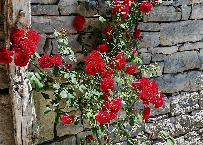 Ferienhaus The Barn, Maison, Piscine Privative, Calme, Wifi *